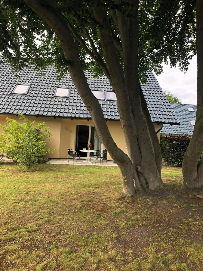 Ferienwohnung 'Bei Den Buchen' Zempin Esterno foto